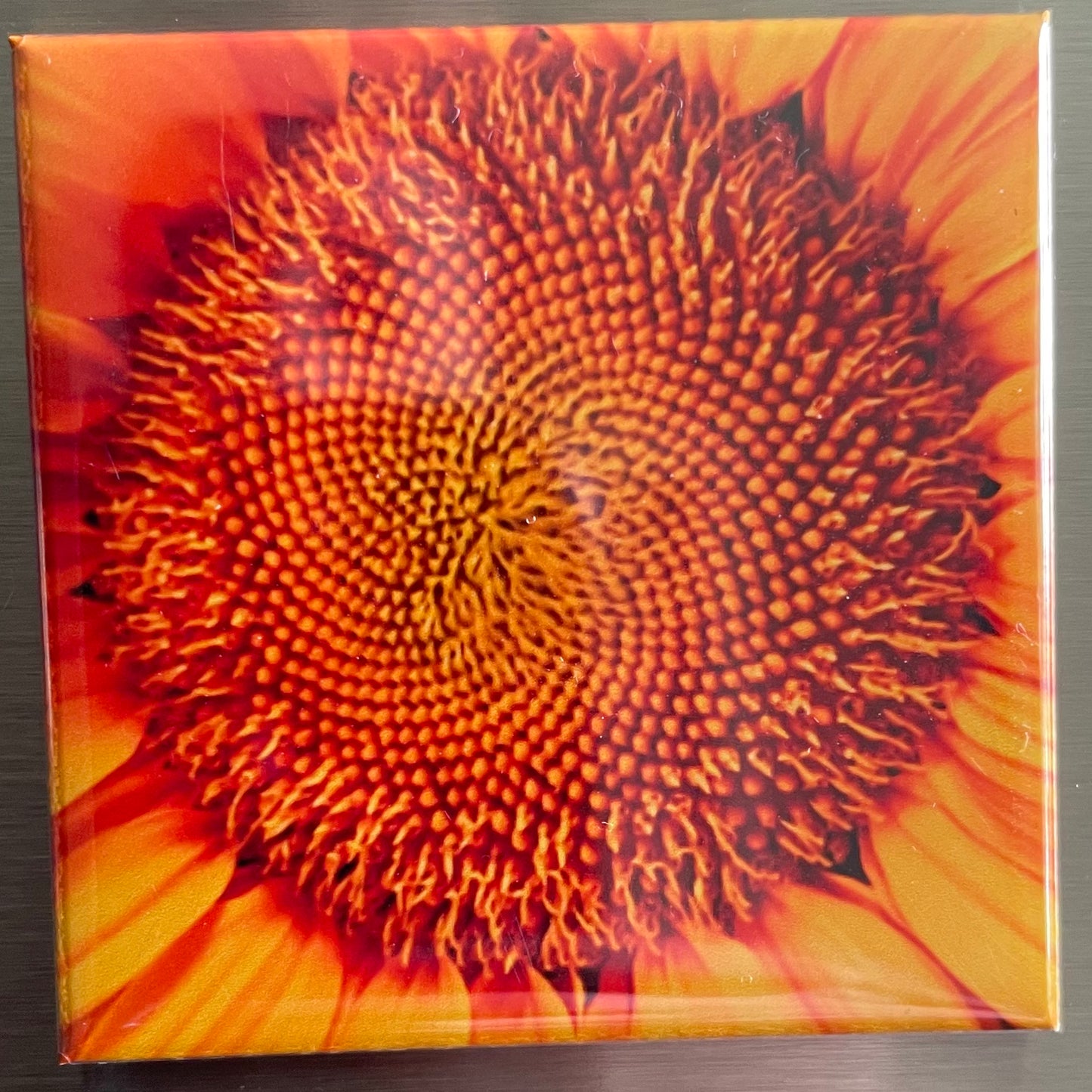 2x2 Custom Photo Magnets